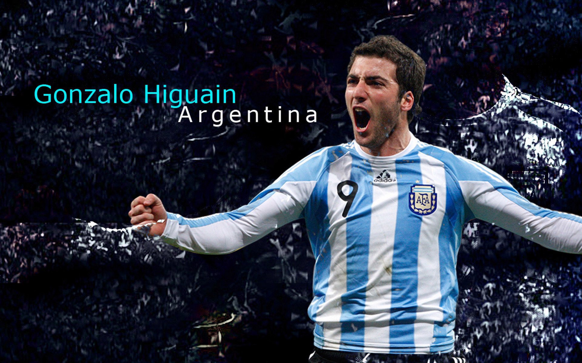 体育赛事安全系统升级