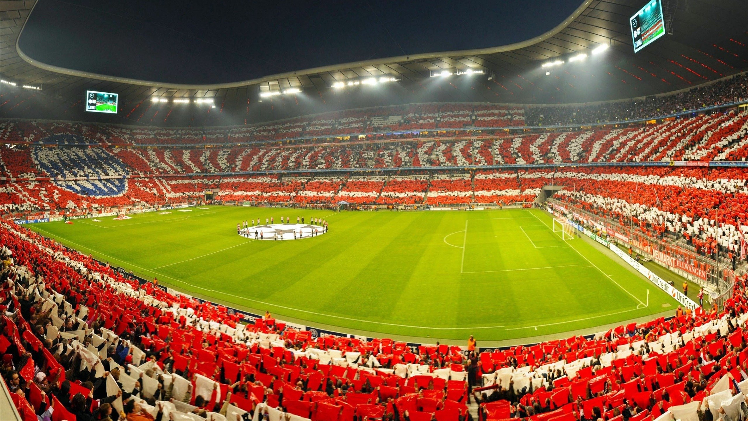 国际马联发布2026年马匹福利规范 加强赛事监管